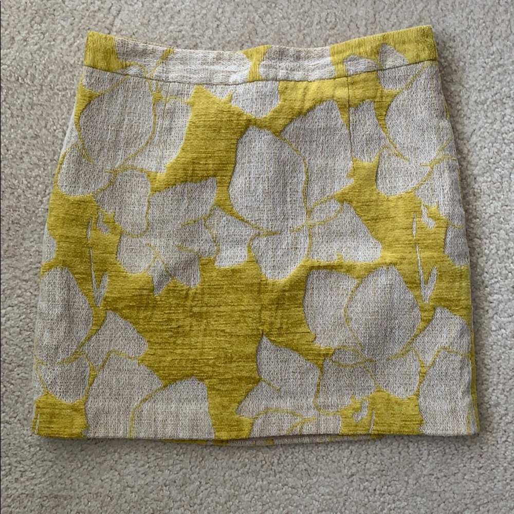 Zara Mini Skirt EUC